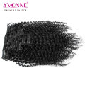 Brazilian Kinky Curly Virgin Hair Clip in Extensions